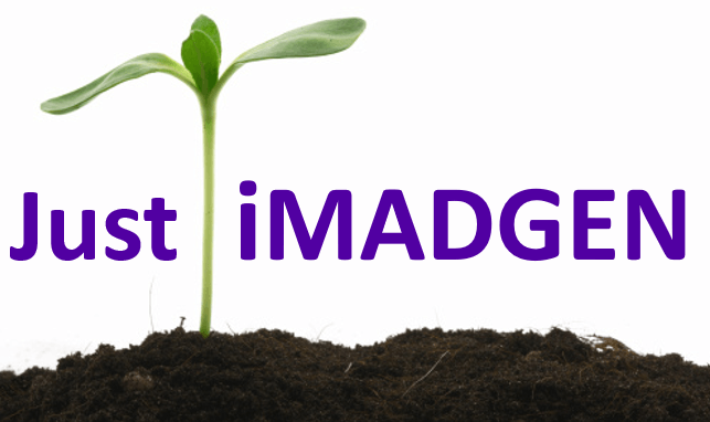Just iMADGEN